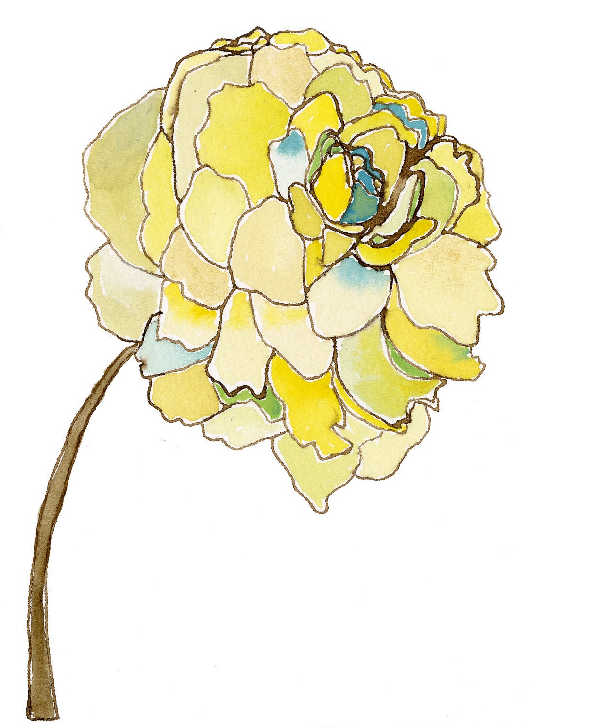 Peony