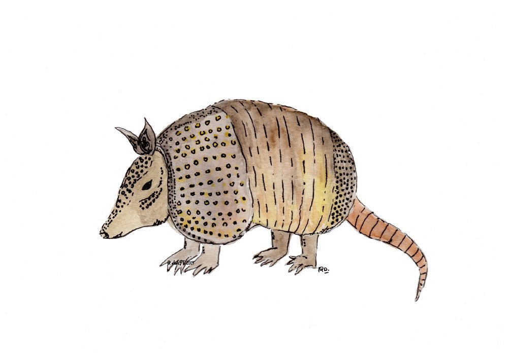 Armadillo - Tiny Zoo Art Print