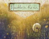 Sparkles In The Sun // Premade Etsy Storefront Graphic Set