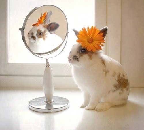 Vanity print 10x10