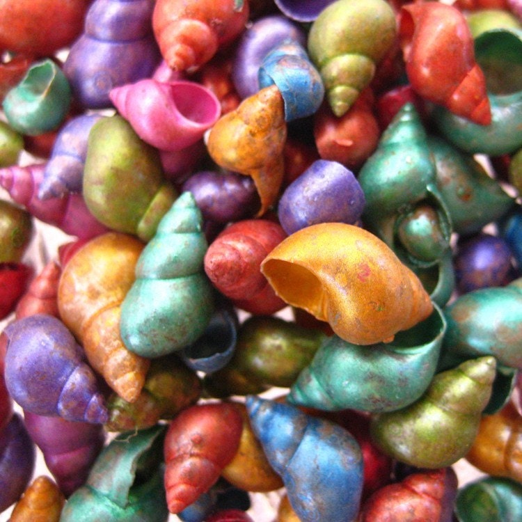 144 Tiny Dyed Seashells For Your Mosaics And Scrapbooking Projects