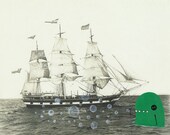 The Terror of the Sea