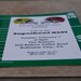 Ready for some Football Superbowl Invitations set of 10