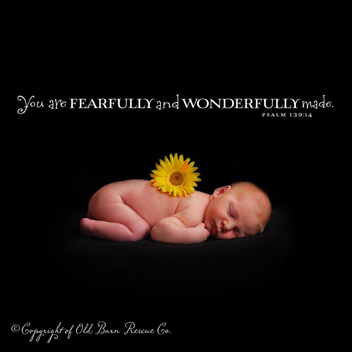 Items Similar To Vinyl Wall Decal You Are Fearfully And Wonderfully items-similar-to-vinyl-wall-decal-you-are-fearfully-and-wonderfully
