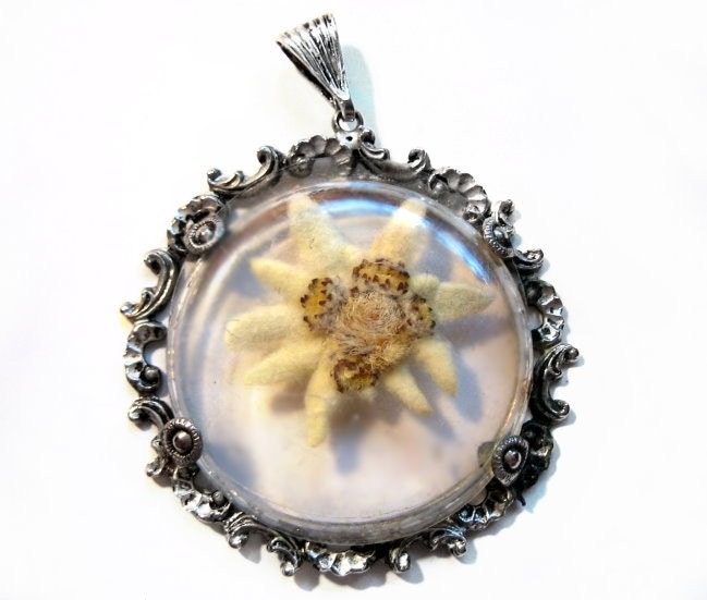 Dried Edelweiss Flower Pendant Vintage by VintagePennyLane