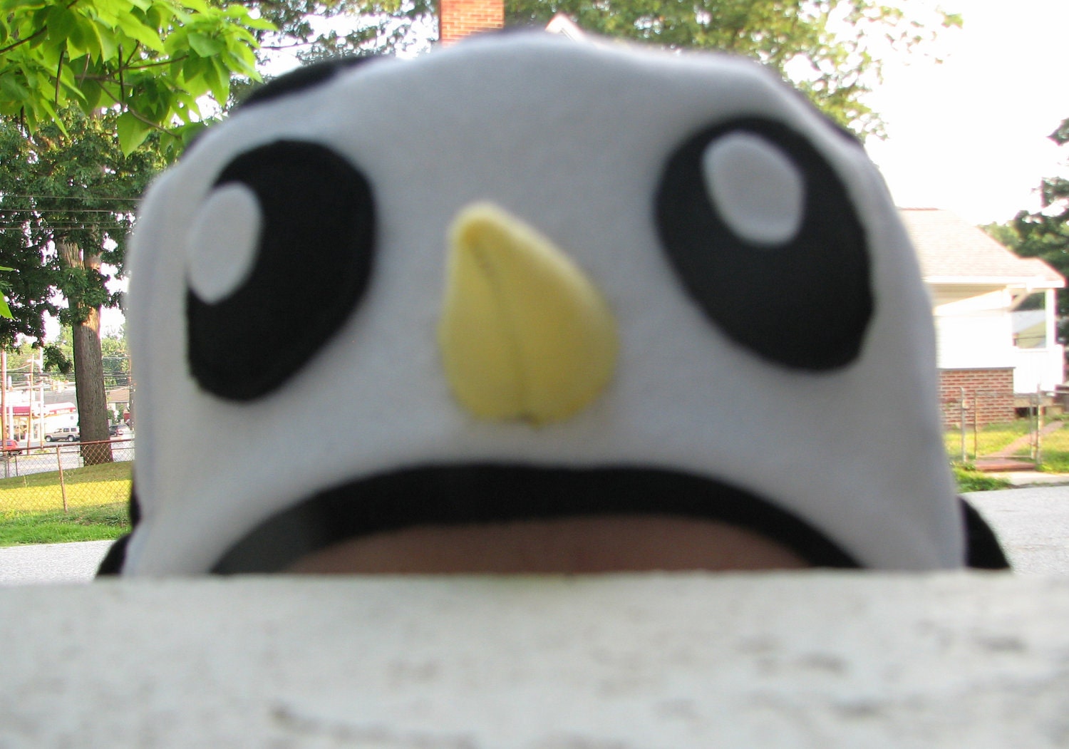 Gunter Hat (Adventure Time)