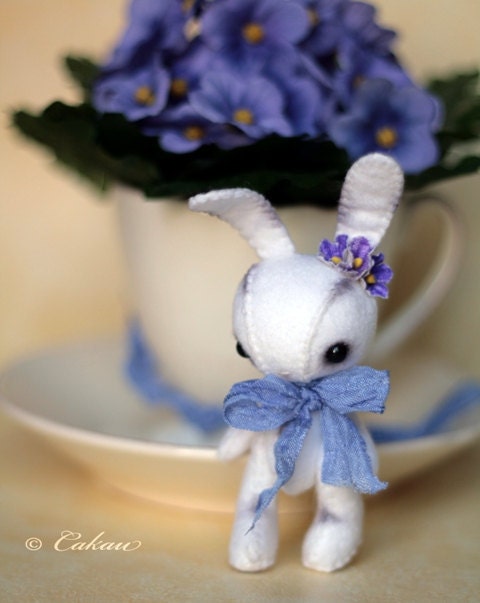 Bunny Forget Me Not