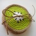 Half kiwi fruit coasters (set of 4) Entertaining Eco friendly