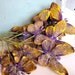 Vintage Millenery Supplies Glittered Butterfly Stems