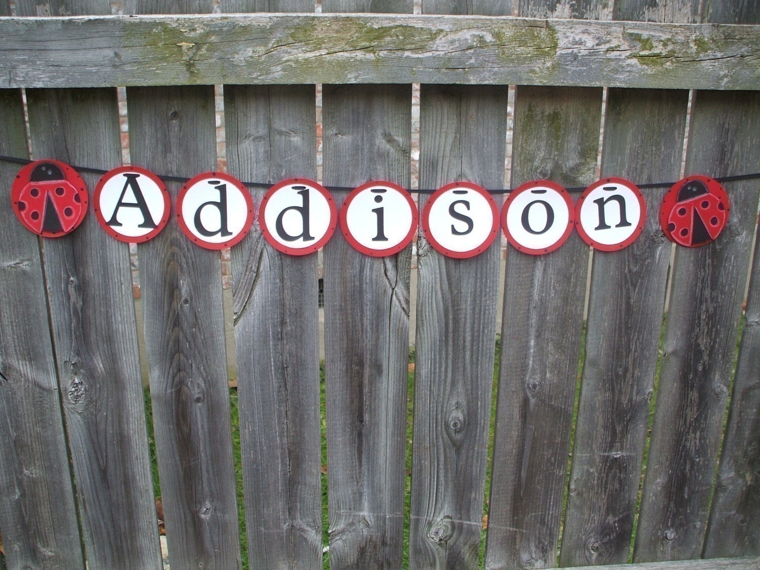 Ladybug  Name Banner