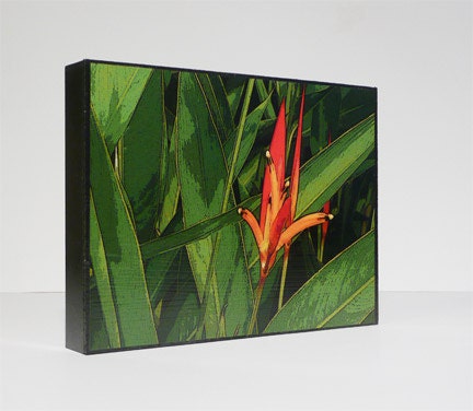 Tropical Bird of paradise board mounted art print