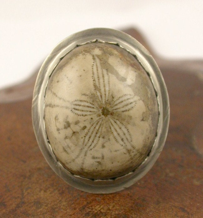 Fossilized Sand Dollar and Sterling Silver Ring - Clearance