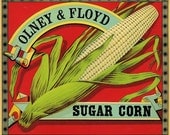 Olney and Floyd  Ornate SUGAR CORN can label 1900s