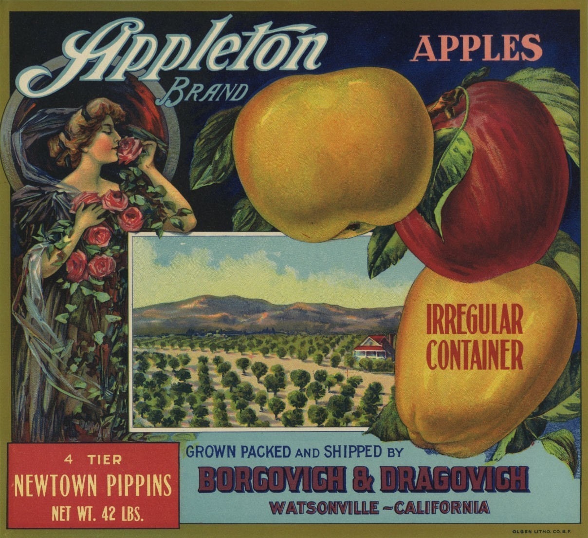 Appleton 4 Tier Newtown Pippins apple crate label