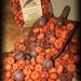 Primitve Scented Harvest Putka Pods Acorns Melts and Rose Hips Fixins Thanksgiving Fall Autumn OFG TEAM AB4B