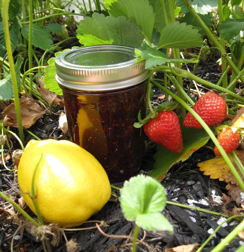Strawberry Lemonade Preserves 8 oz Jar Organic Jam