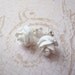 Petite Rose Stud Earrings (White)