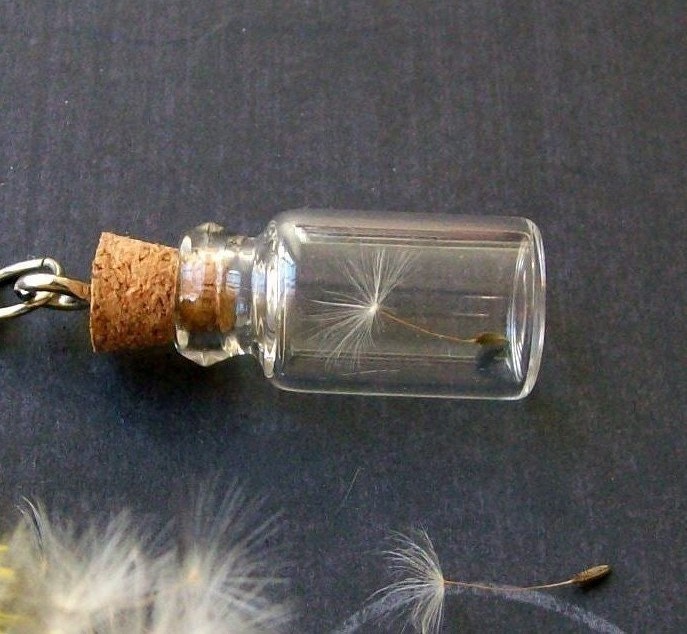 Dandelion Wish.