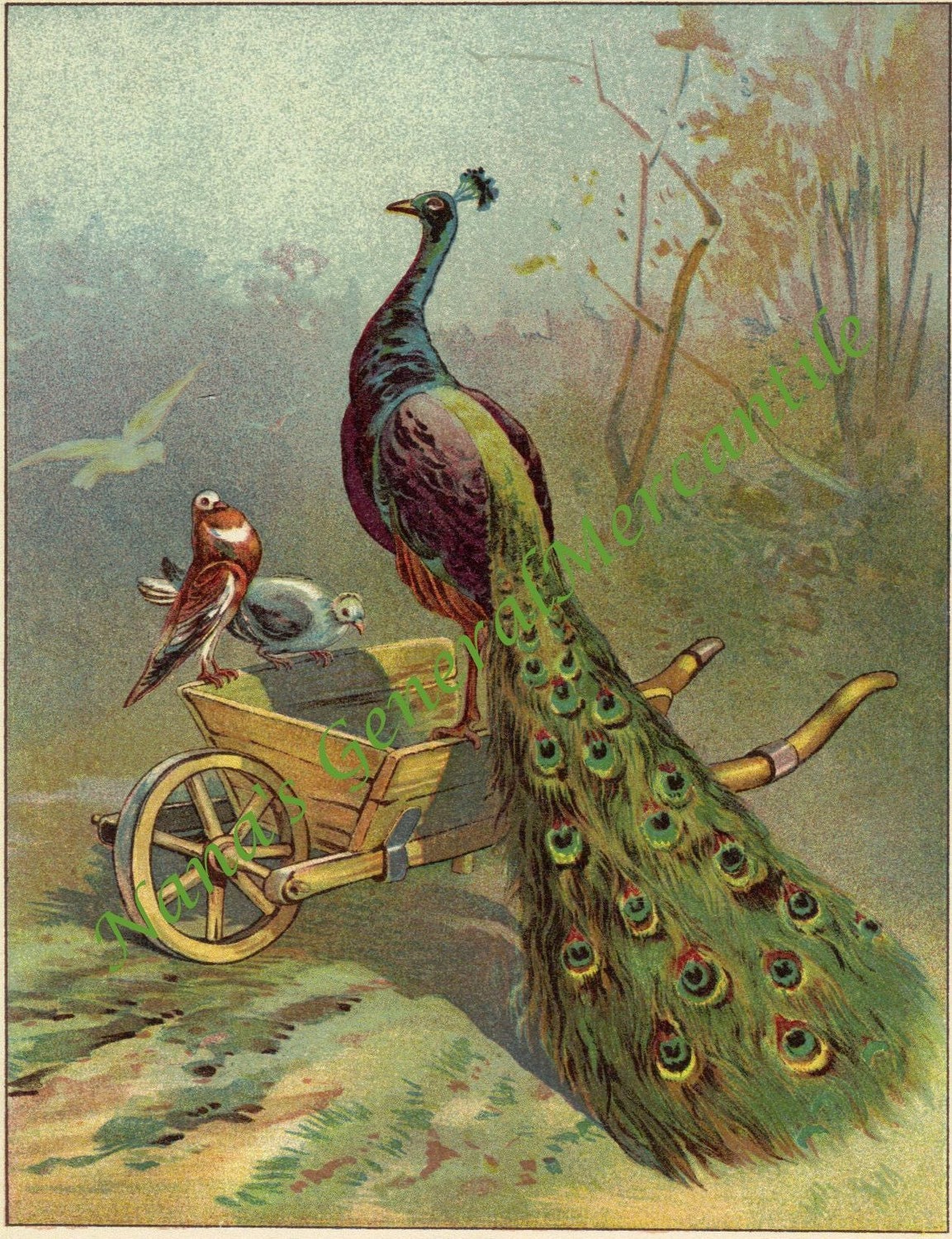 Color Lithograph