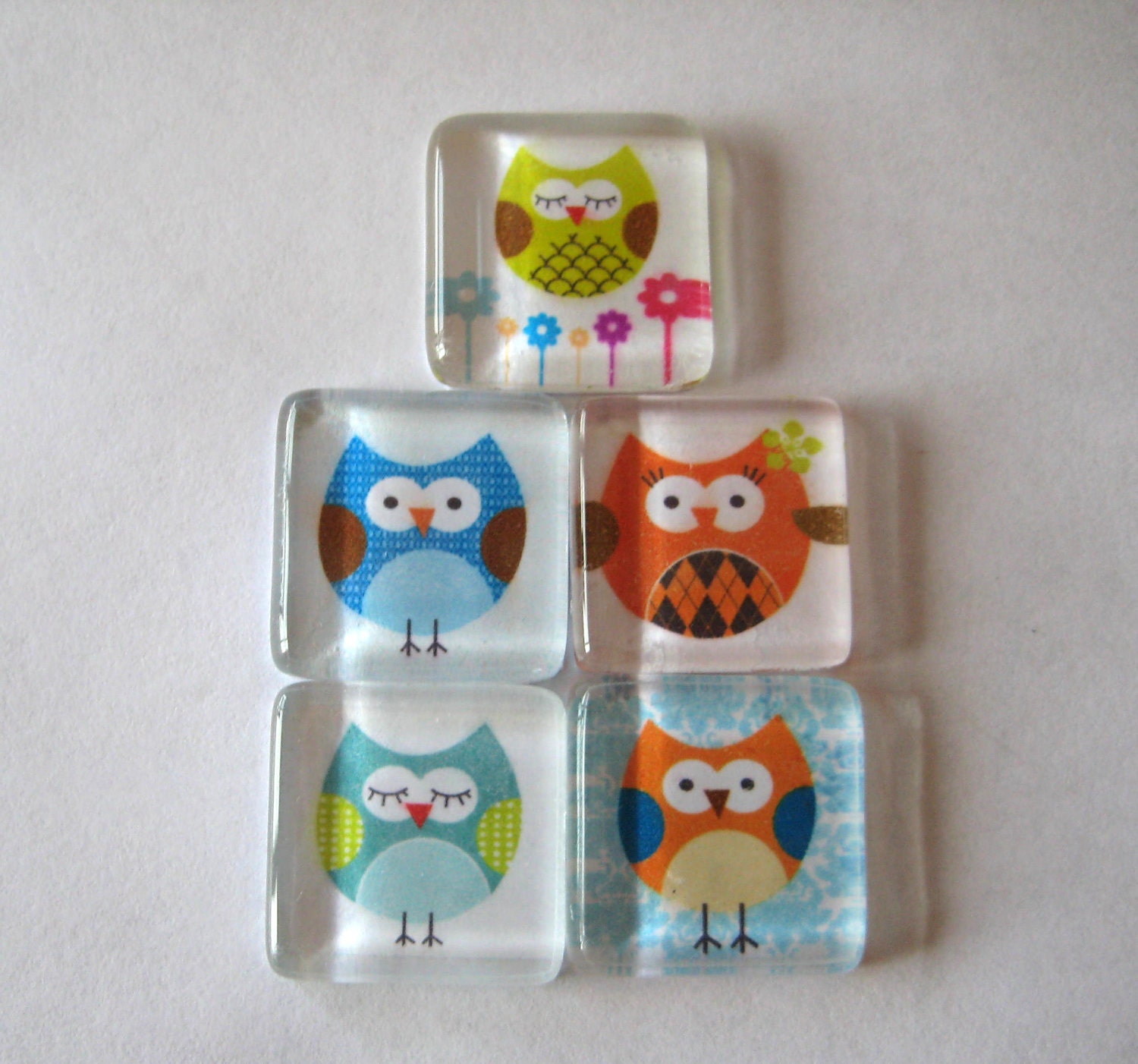 Silly Owl Square Glass Magnets