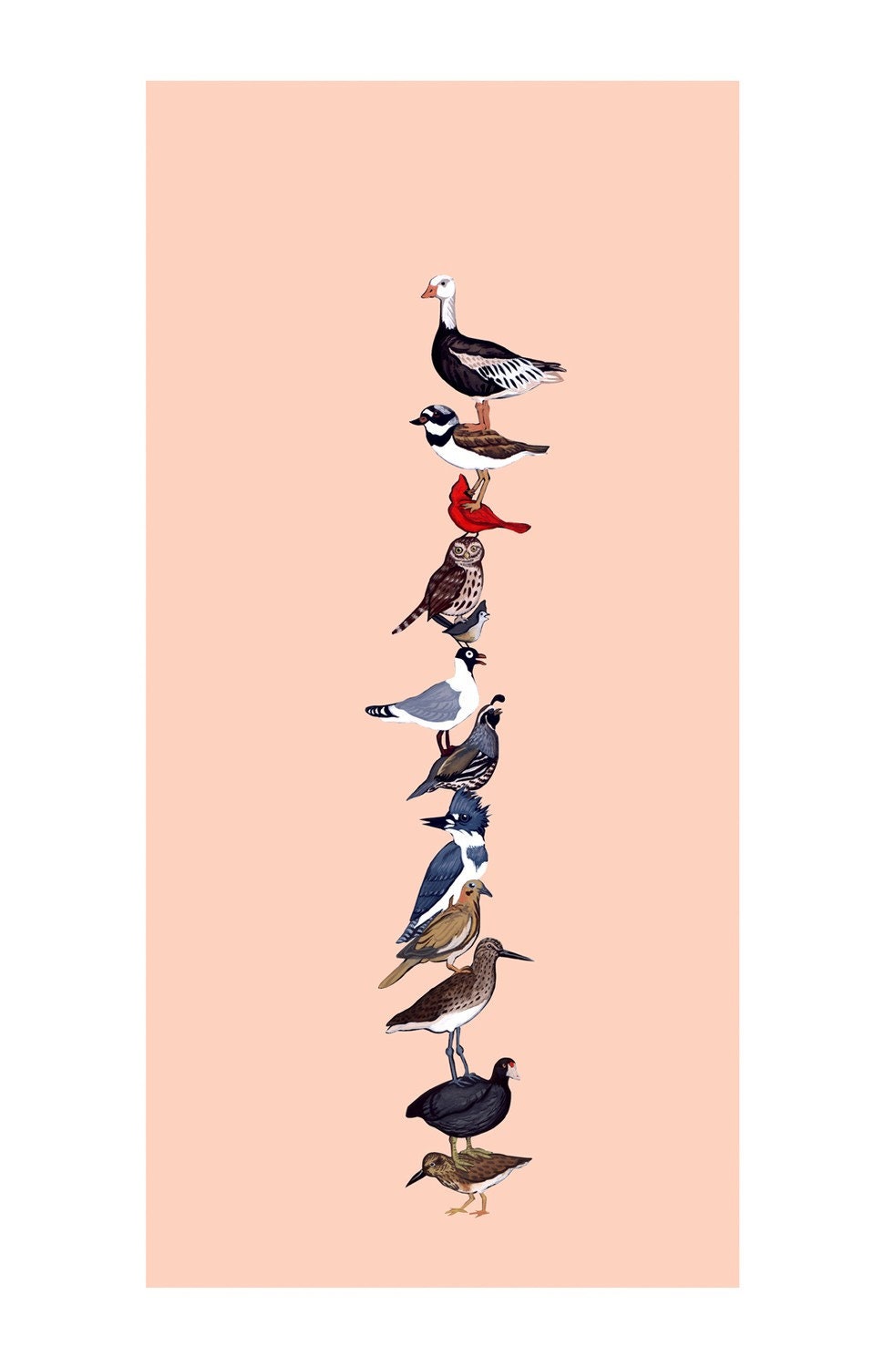 Bird Stack - Fine Art Print 8x10