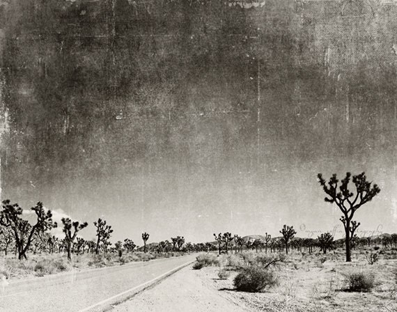 large wall art, black & white photography, Palm Springs, Joshua Tree, desert, travel landscape, nature, 36x24 print - MyanSoffia