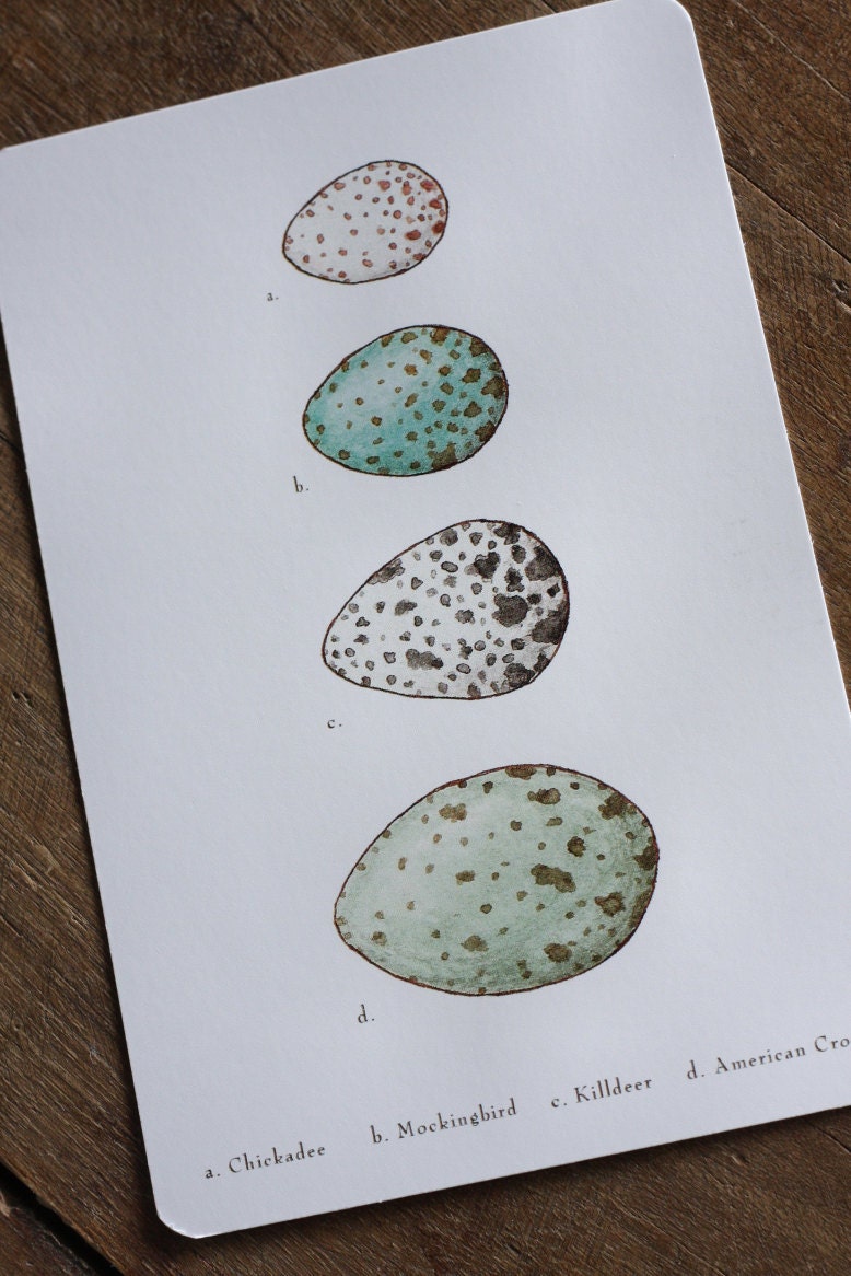 Eggy Postcards