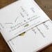 Insect Cards with Moths & Beetles - Digital - Printable PDF
