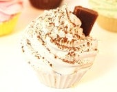 Vanilla Spice Mini Handmade Artisan Soap Cupcake