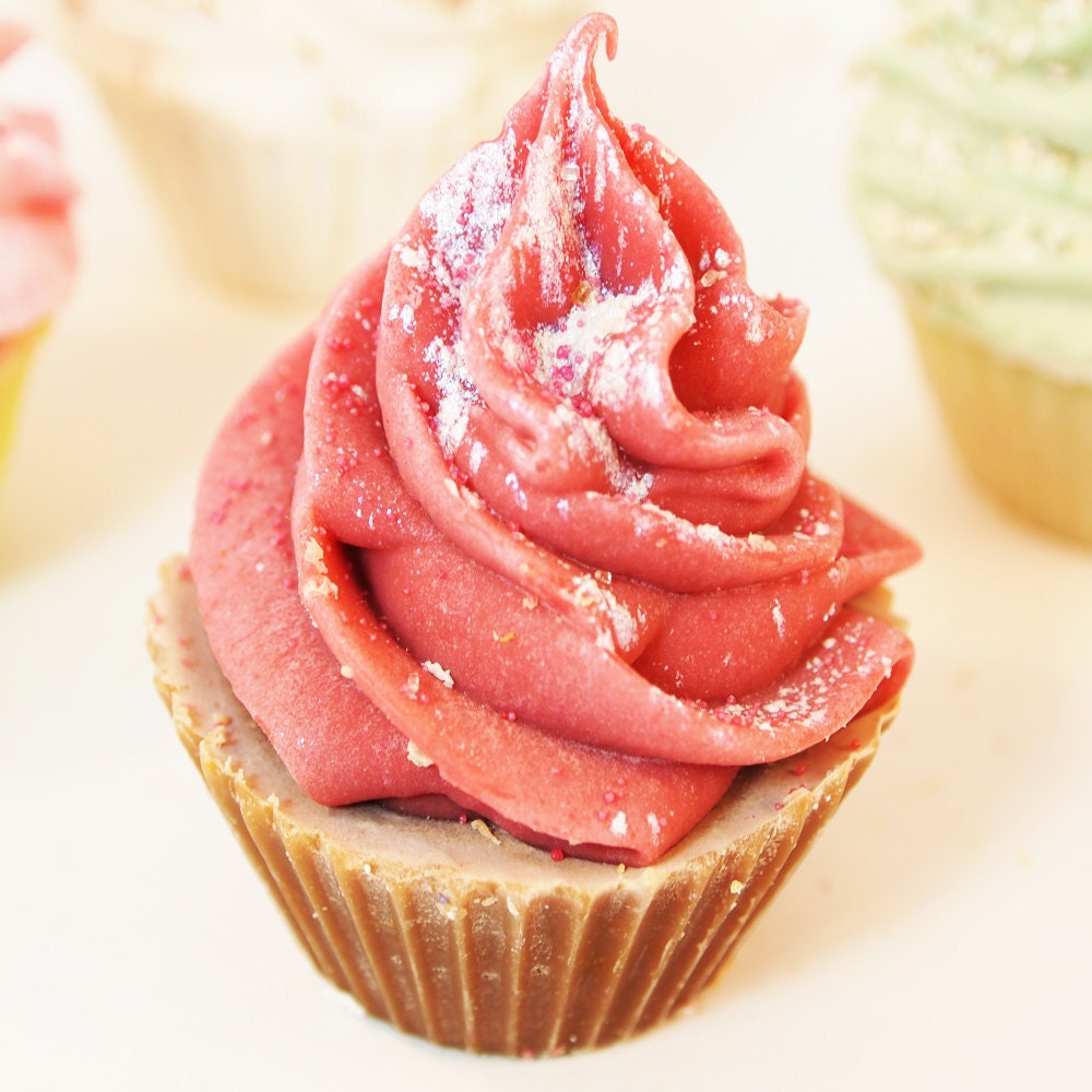 Raspberry Chocolate Truffle Mini Handmade Artisan Soap Cupcake