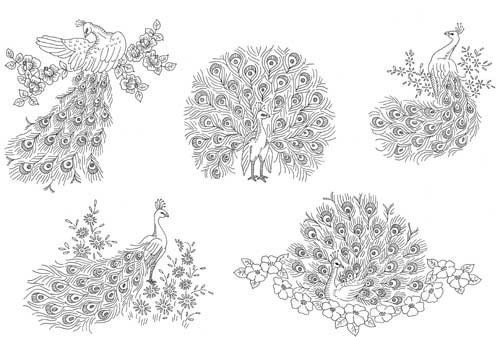 1940s Peacock Embroidery Pattern