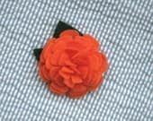 Zinnia Dog Collar Accessory