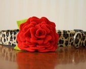 Flower Dog Collar - Leopard Lady