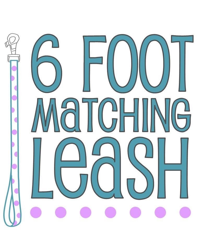 Matching 6-Foot Dog Leash