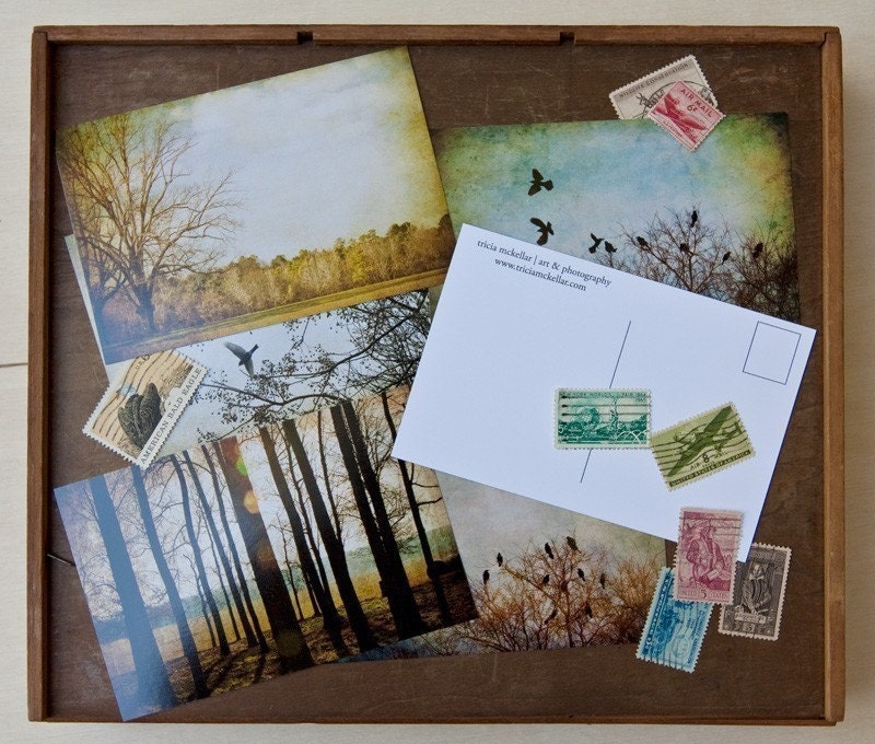 Set of 12 Postcards, Birds and Landscapes, Fine Art Photography by Tricia McKellar