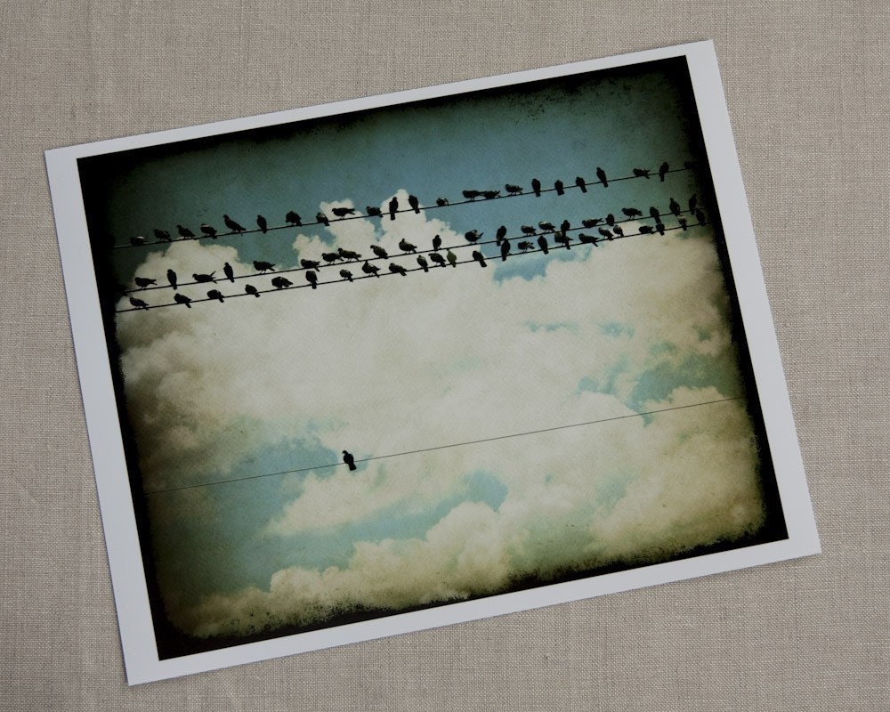 Bird Photography, Many and One (Birds on a Line), 8x10 Fine Art Photograph by Tricia McKellar, Modern Photograph with Vintage Look