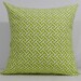 New 18x18 inch Designer Handmade Pillow Cases in melon green and white graphic pattern