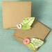 Mini Note Sets - set of two envelopes and cards with leaf accents