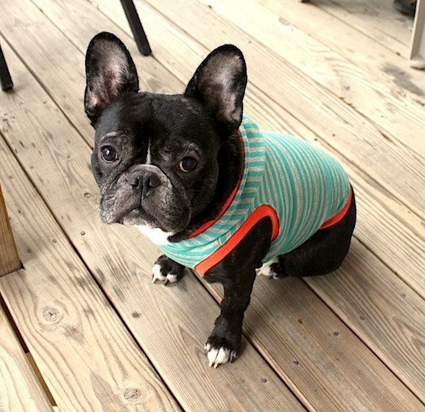 Striped sweatshirt hoodie