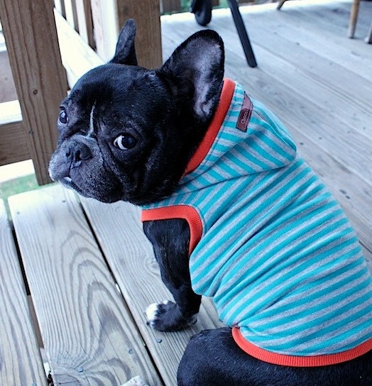 Striped sweatshirt hoodie
