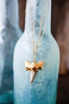 Gold Shark Tooth Necklace
