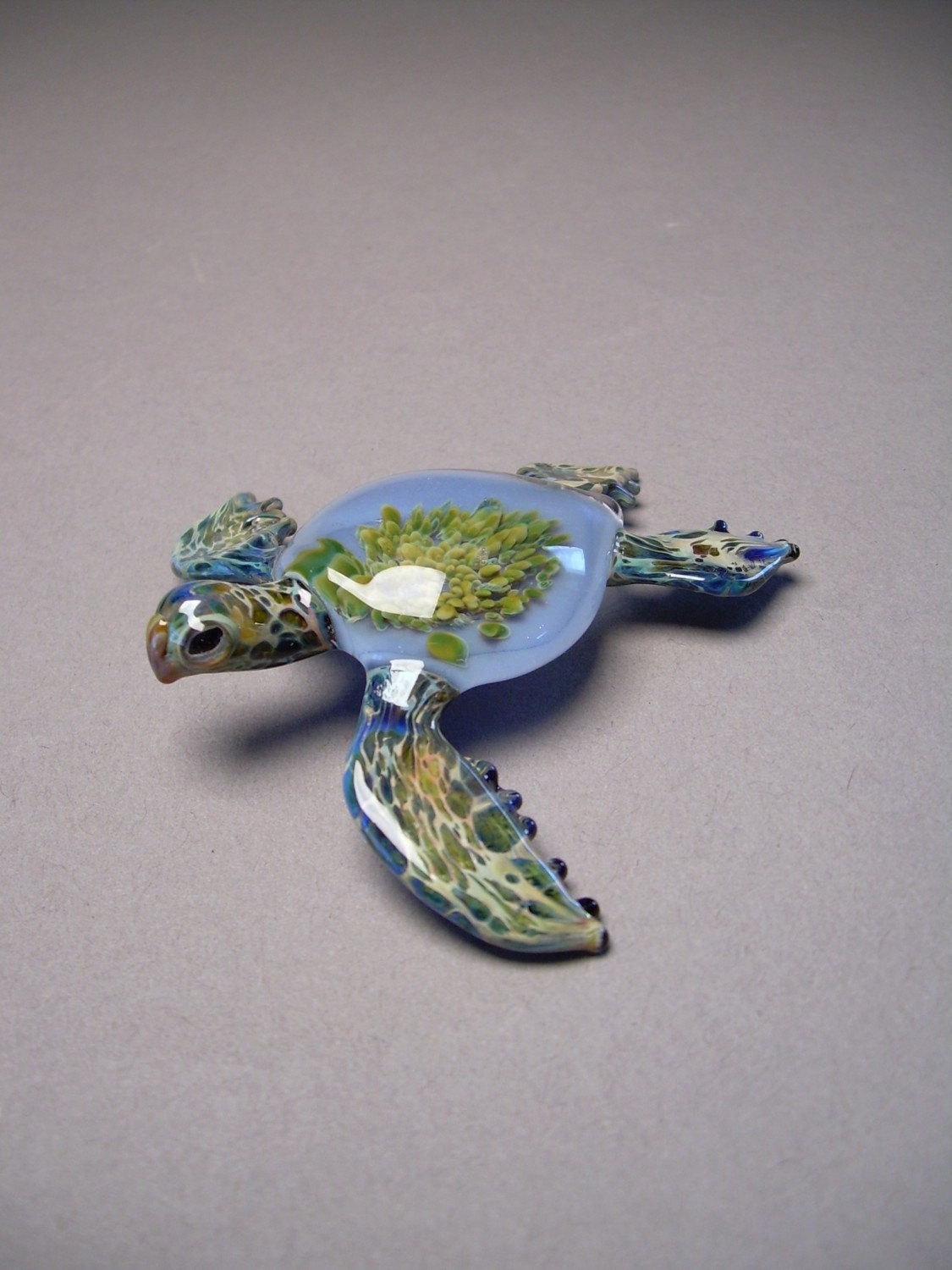 Blue Sea Turtle with Anemone  inside the sea turtle shell