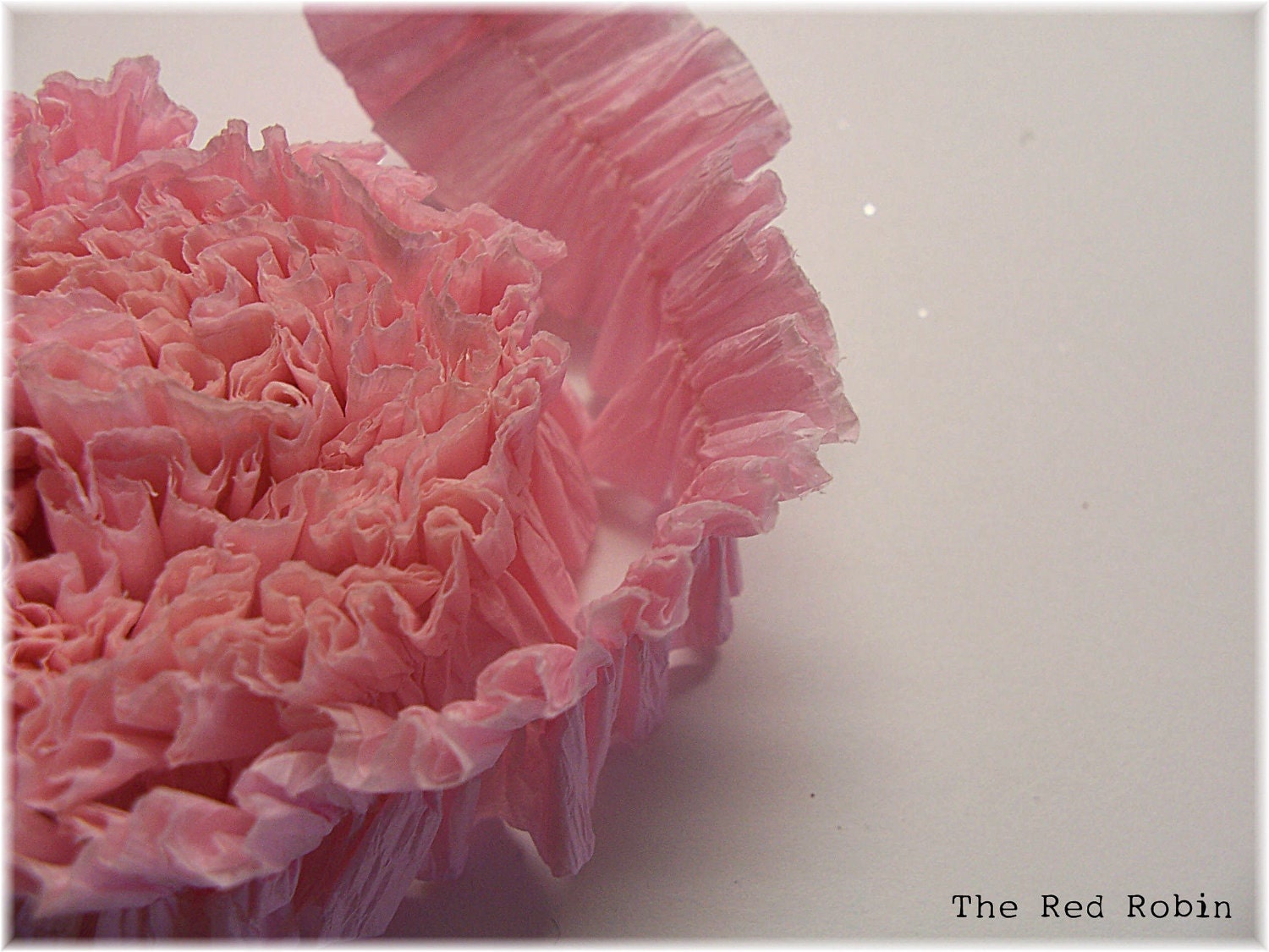 PINK CONFECTION Ruffled Crepe Paper Trim