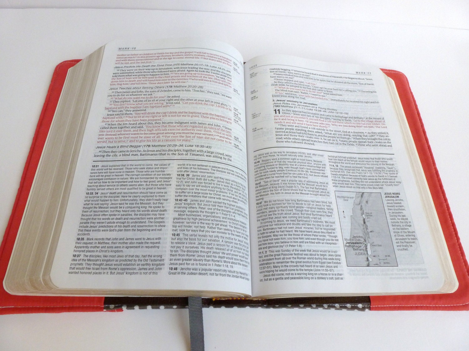 Grey/WhitePolka Dot and Salmon Ruffle Bible Cover- Made to Order