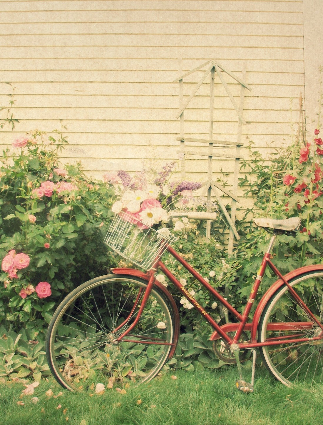 Bicycle Bouquet 5x7 Print