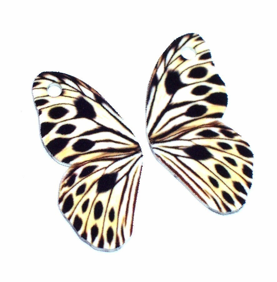 butterfly cheetah