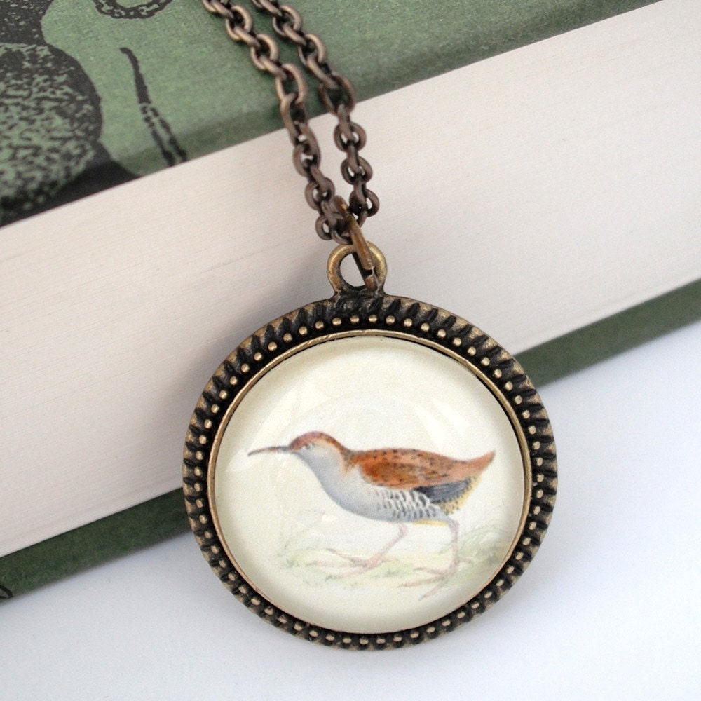 Sandpiper Natural History Nautical Pendant Necklace Bird - thelittlechickadee