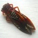 Rare Vintage 1960's Lucky French Cicada Pin Rootbeer Brown Rhinestone Eyes and Accents Large