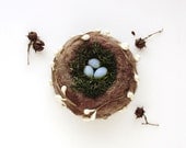 Birds Nest Ornament - Moss and White Berries Made To Order