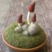 Brown Gnome Mushrooms Pincushion Scene Made to Order